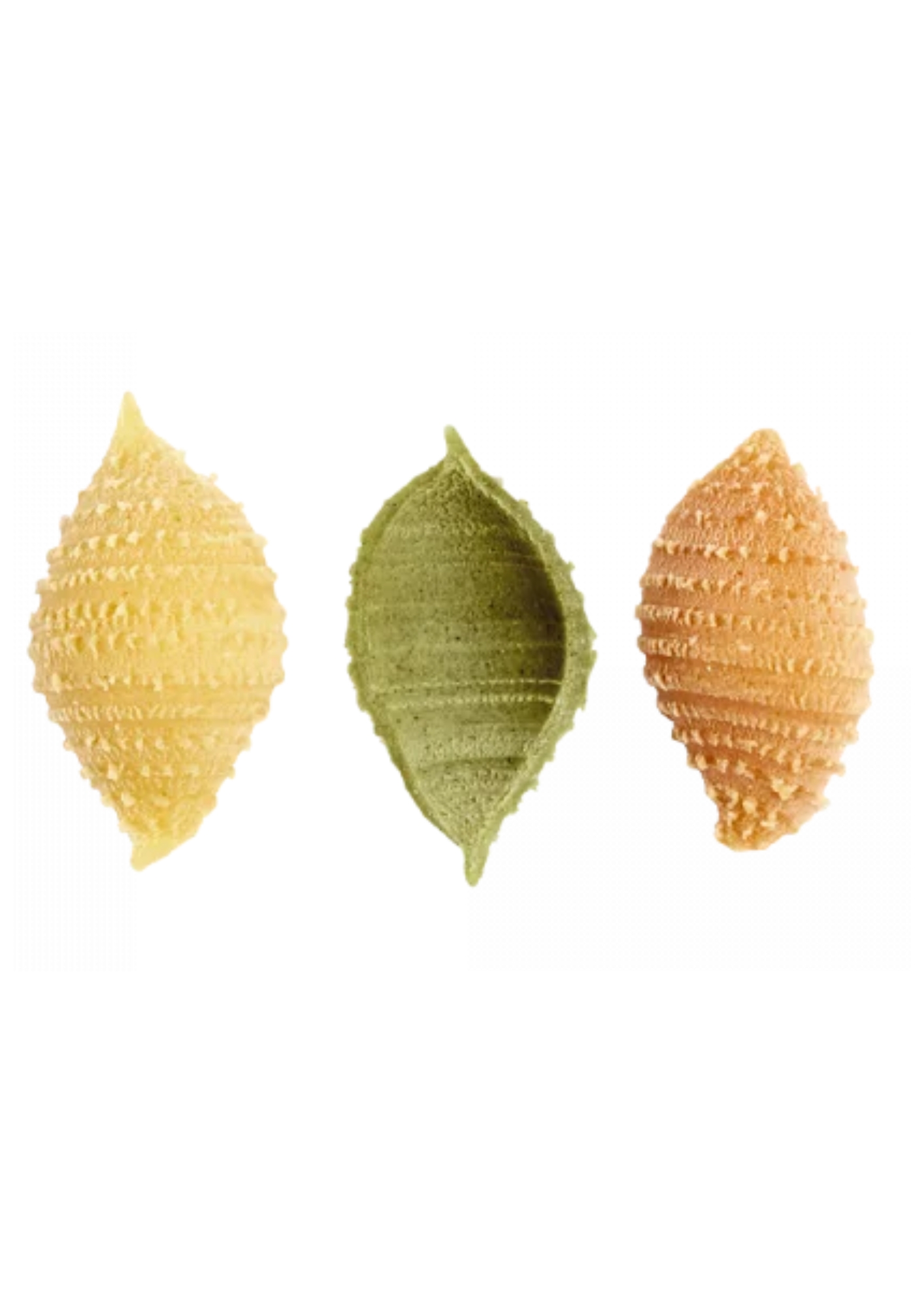 CONCHIGLIE TRI